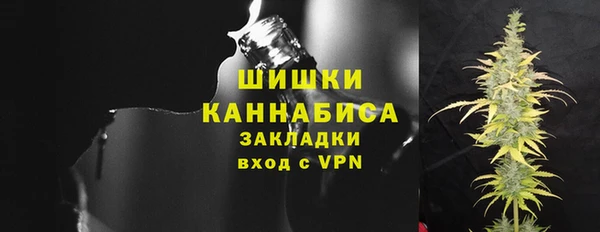mdpv Богородицк