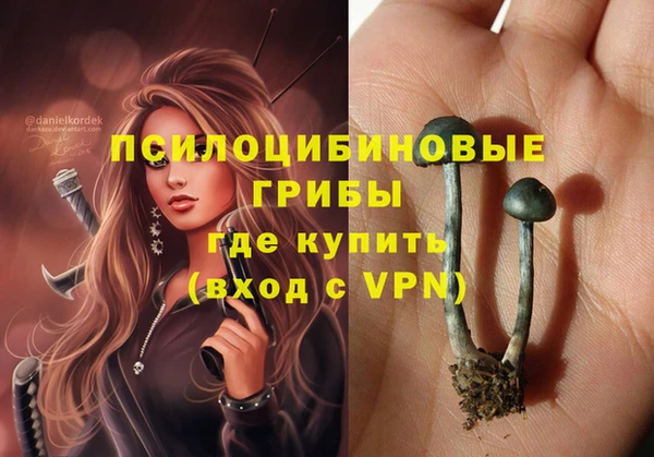 ALPHA-PVP Армянск