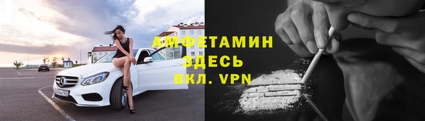 шишки Аркадак