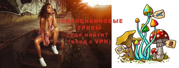 шишки Аркадак