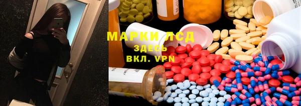 шишки Аркадак