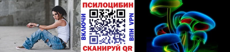 купить  цена  Нижнеудинск  блэк спрут tor  Галлюциногенные грибы Psilocybe 